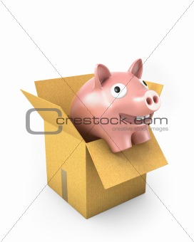 Piggy bank in a carton box