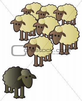 Black Sheep and Flock