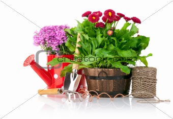 spring flowers with garden tools