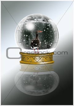 Snow Globes and Christmas fun.