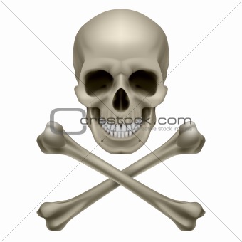 Realistic skull and bones