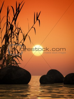 ocean sunset bamboo and stones
