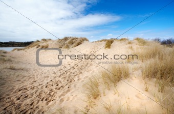path in the dunes