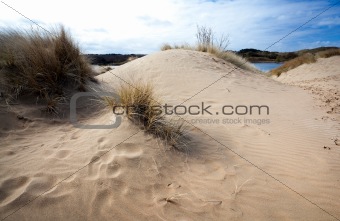 sand and wind