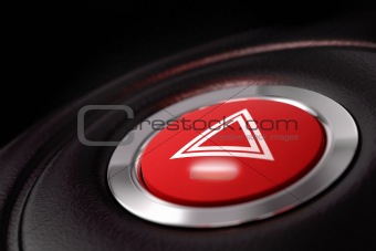 pushed warning button inside a car