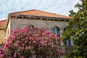 House and Flowers in Dubrovnik, Croatia