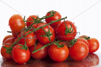 Tomatoes in trusses on a white background