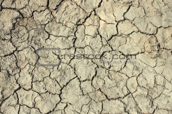 Cracks in the dried soil