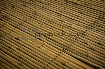 bamboo surface detail
