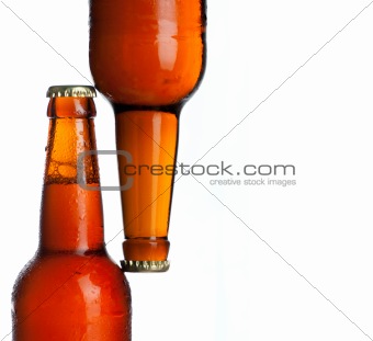 cold beer background close up on white background