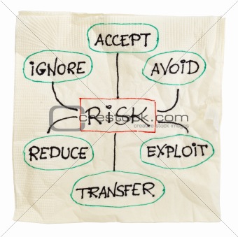 risk management strategy