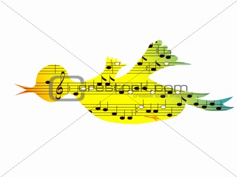 Music bird