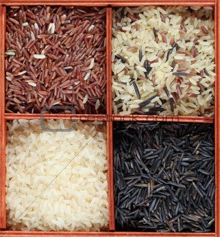 Rice collection