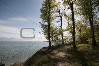 Forest path close to cliff