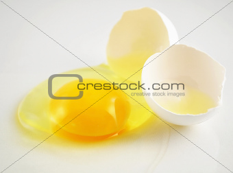broken egg 