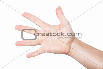 Men's palm, hand, arm. On a white background.