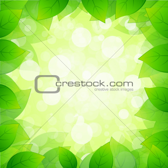 Green Framing with Leaves