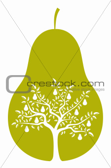 pear tree in pear