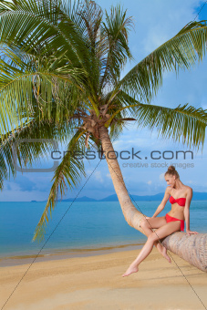 Graceful woman sitting on palm tree