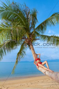 Woman suntanning on the trunk of a palm
