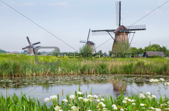 Dutch country landscape with windmills in spring