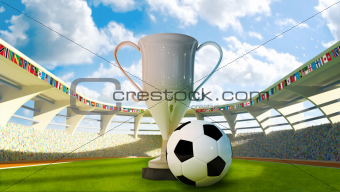 Cup and Soccer ball in the stadium