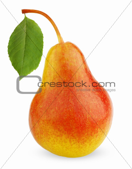 Ripe red-yellow pear fruit with leaf