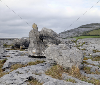 The Burren boulders