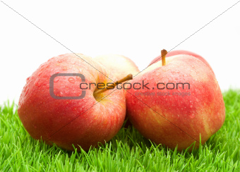 Red Apples on Grass	