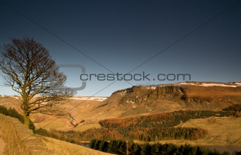 21 - Lone tree at Dovestone reservoir in Peak District