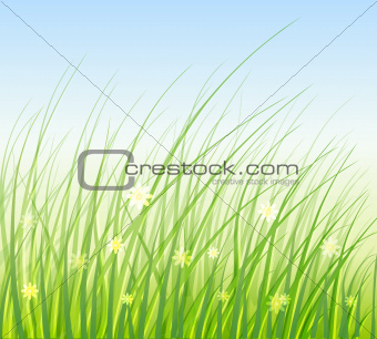 grass.jpg