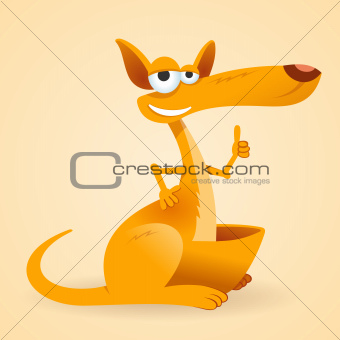 Kangaroo Animal Illustration