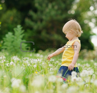 Baby girl playing on dandelions field