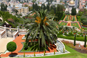 Gardens in Haifa Israel