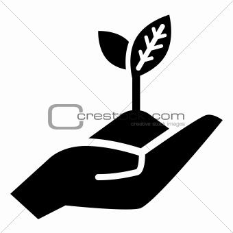 Growth concept icon