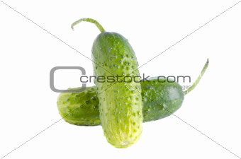 isolated two cucumbers