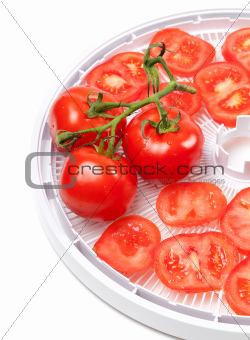 Fresh tomato on food dehydrator tray