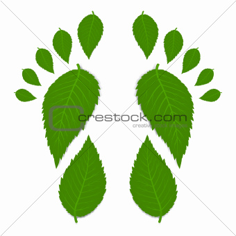 Leaves Footprint