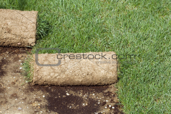 Grass Carpet Rolls