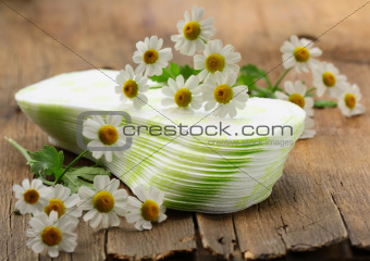 hygienic feminine pads daily with flowers daisies