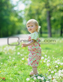 Kid on dandelions field