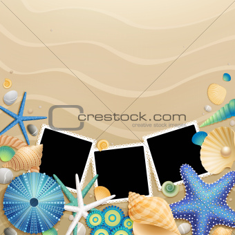 Pictures, shells and starfish on sand background.