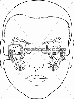 Human vestibular apparatus