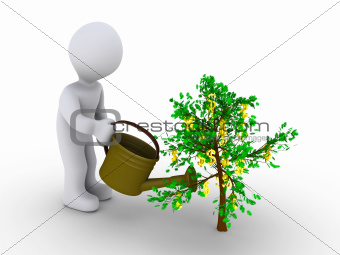 Person watering dollar tree