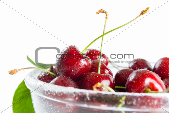 	Cherries