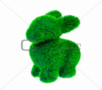 Green rabbit