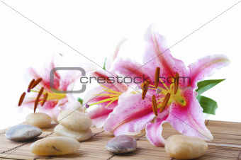 Pink lily and therapy stones