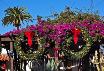 Christmas Wreaths Purple Bougananvilla Cactus Garden Old San Die