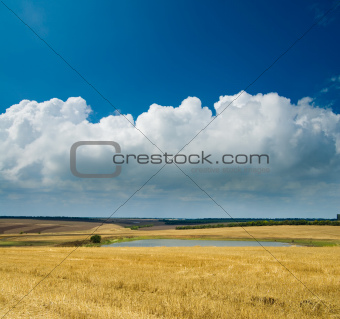 golden field with pond