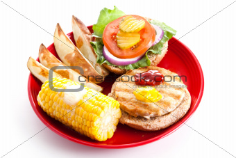 Healthy Eating - Turkey Burger Isolated